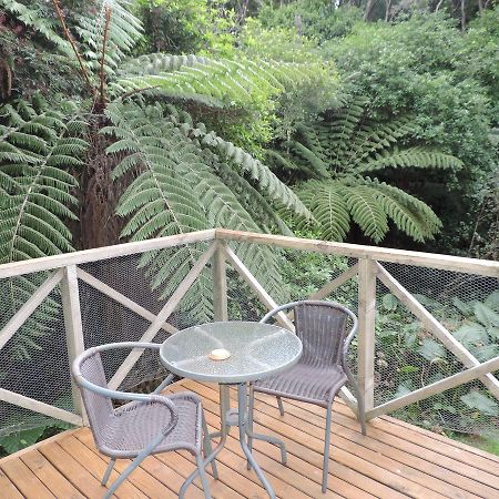 怀赫科岛蓬加山林小屋 Oneroa 外观 照片