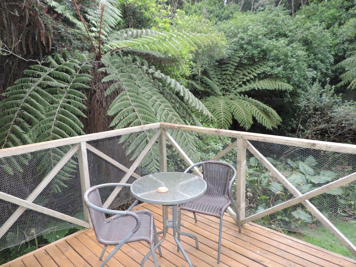 怀赫科岛蓬加山林小屋 Oneroa 外观 照片